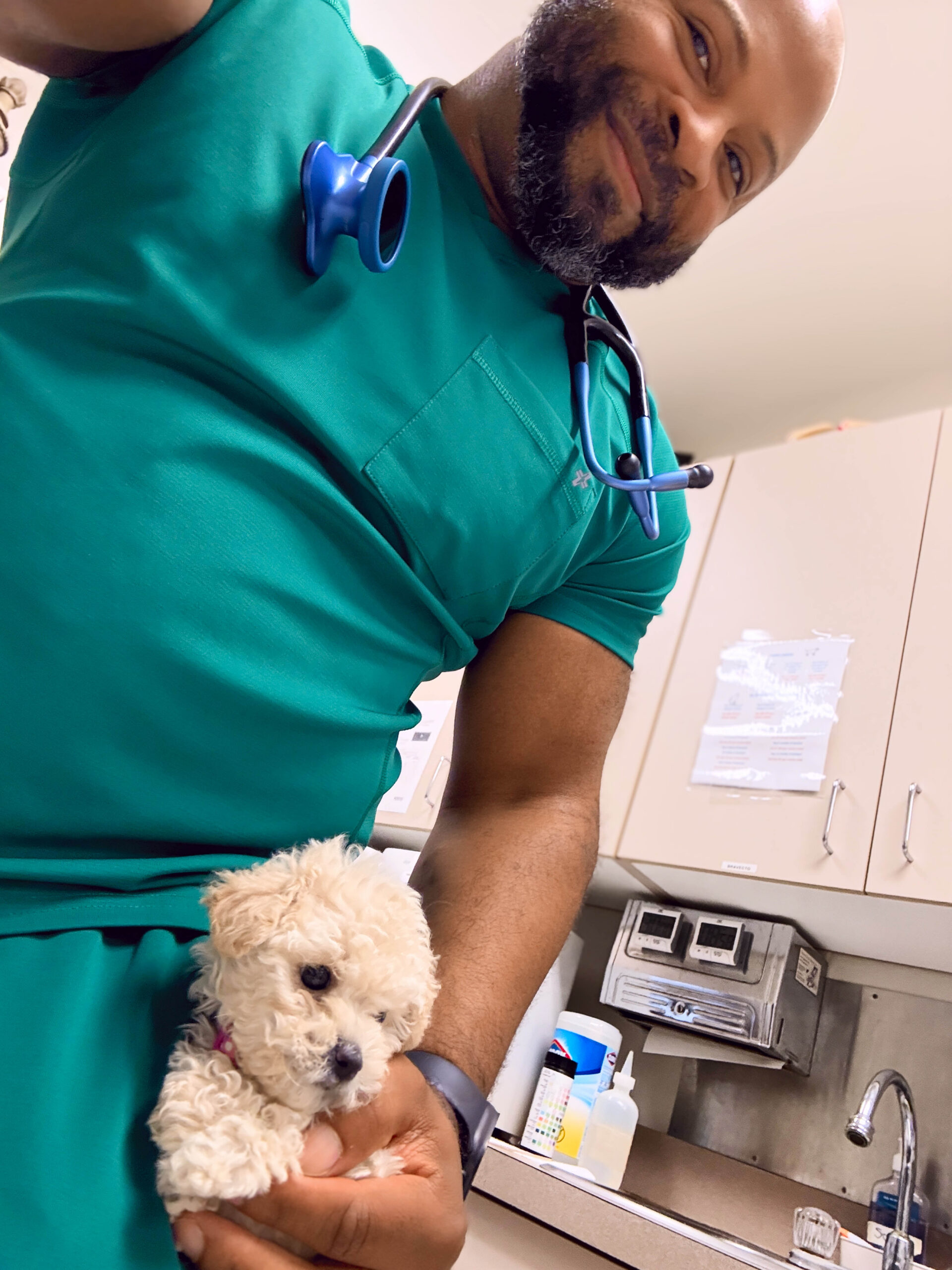 drhallpuppy